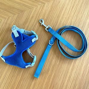 Small animal walking harness and leash